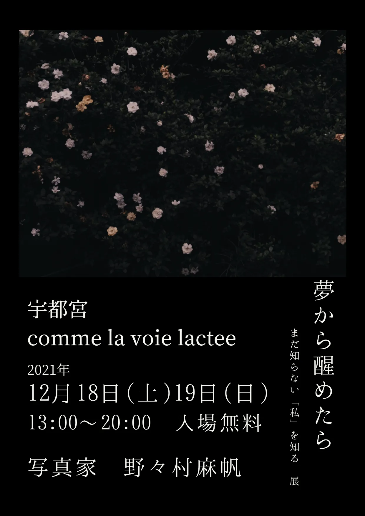個展 夢から醒めたら 1